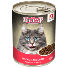 Влажный корм для кошек Big Cat «Мясное ассорти», кусочки в желе, 350г